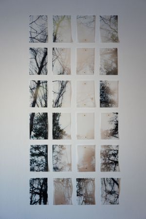 Алина Стерхова (Фотография - 
                  50 x 105 см) Untitled