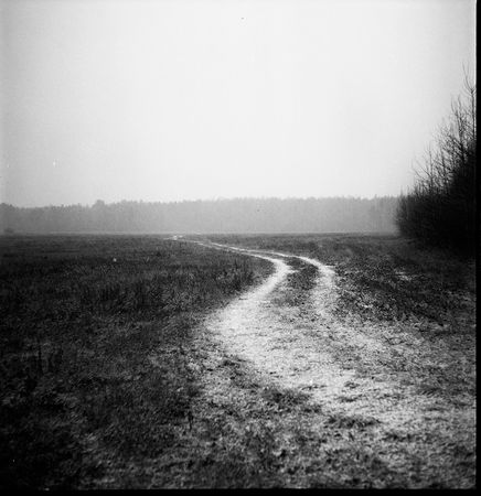 Евгений Стамиков (Фотография - 
                  30 x 30 см) Полевая дорога. Весна