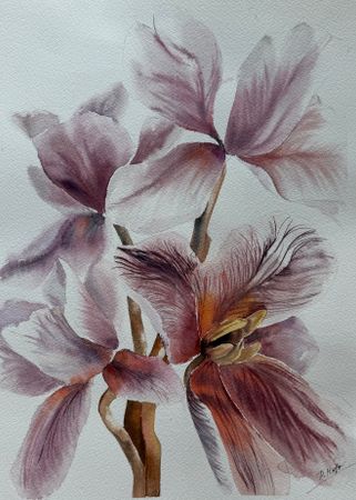 Полина Мотовилова (Авторская графика - 
                  28 x 38 см) Нежная орхидея