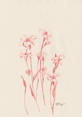 Виктория Зарецкая (embrassé par la muse) (Авторская графика - 
                  21 x 29.7 см) Fleur 01