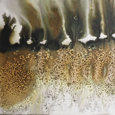 Анастасия Попова (Авторская графика - 
                  30 x 30 см) Тополя