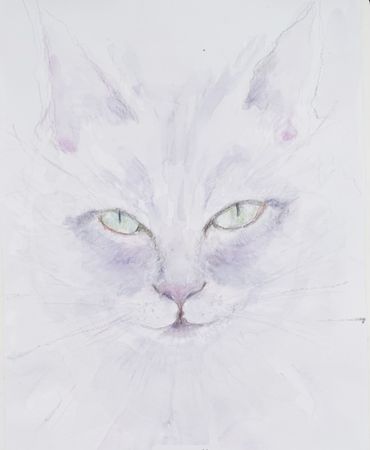 Ирина Булдина (Авторская графика - 
                  21 x 29 см) Белый Кот