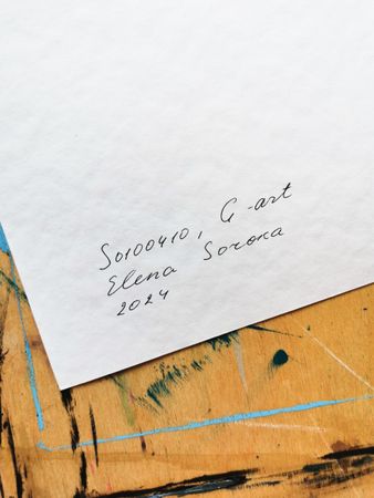 Елена Сорока (Авторская графика - 
                  35 x 50 см) G-art, S010-04-10