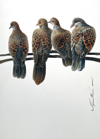 Екатерина Маркина (Авторская графика - 
                  35 x 50 см) Четыре птицы