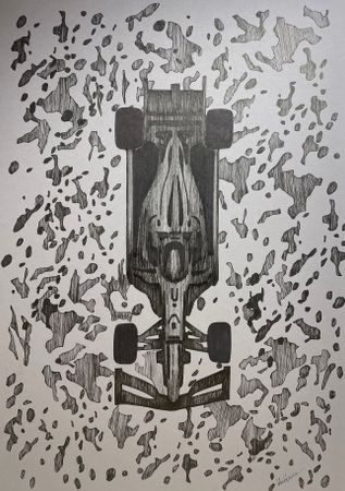 Виктория Никулочкина (Авторская графика - 
                  29.7 x 42 см) F1