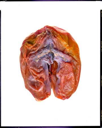 Пётр Корень (Фотография - 
                  126 x 157 см) Диалоги С Фрэнсисом Бэконом. Iris Apfel DIY Set/ Étude B