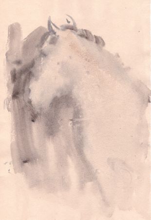 Надежда Воронцова (Авторская графика - 
                  20 x 30 см) Лошадь в тумане