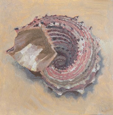Виктория Рамазанова (Авторская графика - 
                  19 x 19 см) Angaria delphinus