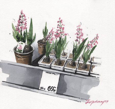Ирина Петровская (Авторская графика - 
                  25 x 25 см) Гиацинты по 69, 90