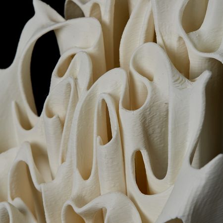 Юлия Низамутдинова (Cyberflora) (Объект - 
                  20 x 45 см) Ossis denti