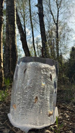 Алёна Рябчинская (Объект - 
                  30 x 45 см) Тумба декоративная