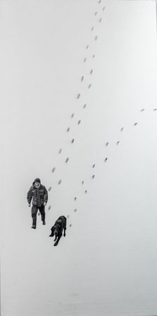 Иван Симонов (Коллаж / ассамбляж - 
                  43 x 80 см) Спутник
