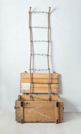 Юлия Агеносова (Инсталляция - 
                  85 x 500 см) Новая жизнь №13