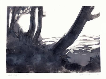 Ольга Безлепкина (Графика печатная - 
                  80 x 60 см) Озеро Неро