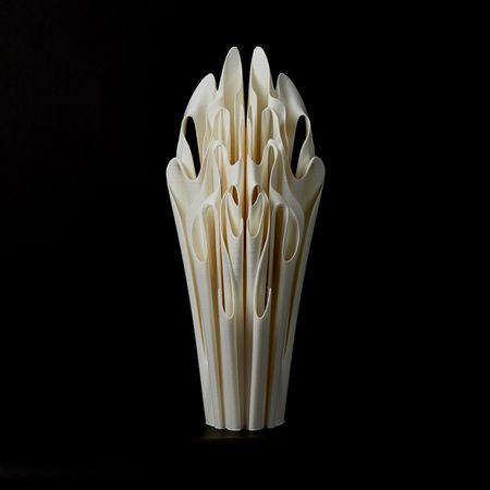 Юлия Низамутдинова (Cyberflora) (Объект - 
                  20 x 46 см) Ossis nicra