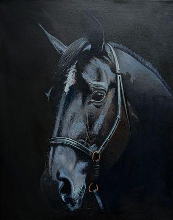 Алена Сокольникова (Картина, живопись - 
                  40 x 50 см) Портрет лошади