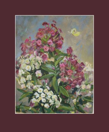 Елена Санина (Картина, живопись - 
                  33 x 42 см) Флоксы