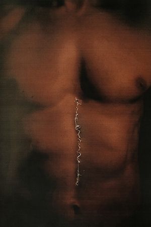Ольга Жданова (Фотография - 
                  60 x 90 см) Body
