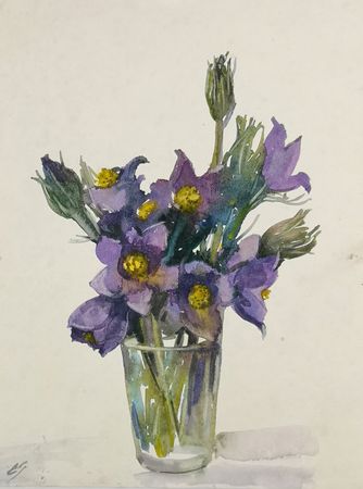 Елена Санина (Авторская графика - 
                  24 x 30 см) Сон-трава