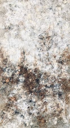 Елена Надточиева (Картина, живопись - 
                  50 x 90 см) Город в туманной дымке