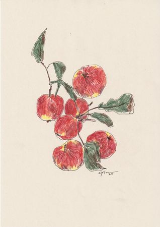 Виктория Зарецкая (embrassé par la muse) (Авторская графика - 
                  21 x 29.7 см) Pommes