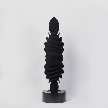 Юлия Низамутдинова (Cyberflora) (Объект - 
                  25 x 100 см) Umbra forma 1