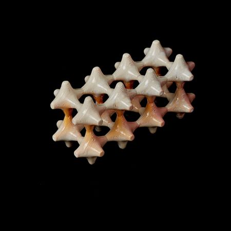 Данил Карамушкин (Скульптура - 
                  10 x 21 см) Module04 "Snowy peach"
