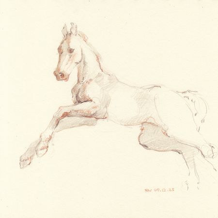 Ксения Наймушина (Авторская графика - 
                  20 x 20 см) Foal 2