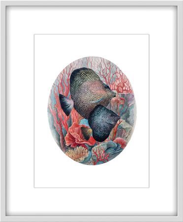 Екатерина Маркина (Авторская графика - 
                  30 x 40 см) Дискусы