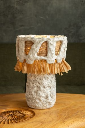 Ксения Торгашина (Объект - 
                  30 x 47 см) Настольный светильник "Светотень"