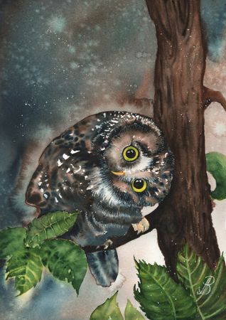 Алла Валежина (Авторская графика - 
                  30 x 42 см) Любопытный сычик