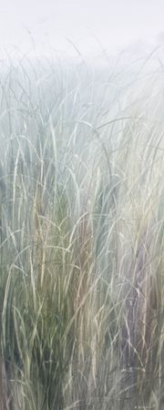 Татьяна Прокшина (Картина, живопись - 
                  80 x 200 см) Дверь II