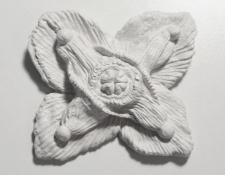 Егор Щаблыкин (Объект - 
                  11 x 11 см) Epimedium (Цветок эльфов)