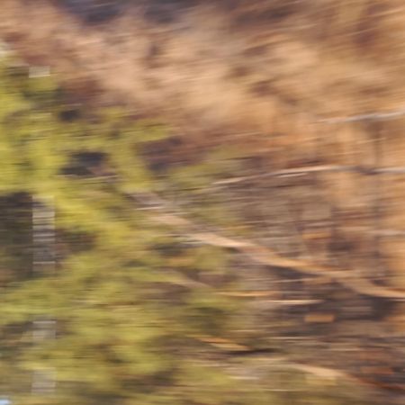 Татьяна Сенчило (Фотография - 
                  50 x 50 см) "ПРОСТРАНСТВО ТИШИНЫ" из проекта "Исчезнуть, замолчать, услышать"