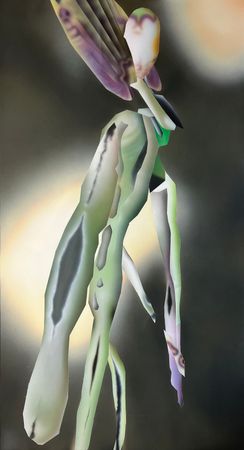 Дарья Пасечник (Картина, живопись - 
                  70 x 110 см) Octopus orchid