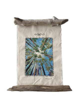 Антонина Осипенко (Объект - 
                  54 x 60 см) Расширение