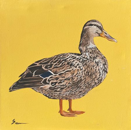 Светлана Евсеева (Картина, живопись - 
                  40 x 40 см) Утка на желтом