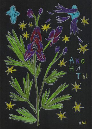 Катя Попченко (Авторская графика - 
                  21 x 29 см) АКОНИТЫ