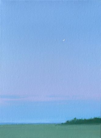 Александра Савина (Картина, живопись - 
                  30 x 40 см) Вечер