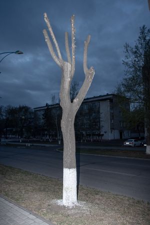 Василий Пиндюрин (Фотография - 
                  50 x 75 см) Patina VI