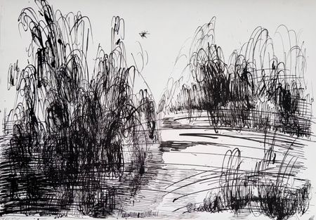 Маргарита Чигодайкина (Авторская графика - 
                  59.4 x 42 см) Абсолютное поле 6