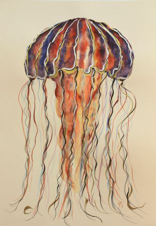 Любовь Фонарева (Авторская графика - 
                  29.6 x 41.8 см) Медуза (II)