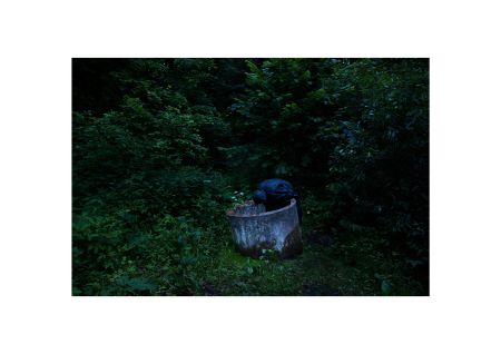Евгений Молодцов (Фотография - 
                  undefined x undefined см) Евгений Молодцов. Вепсский лес V