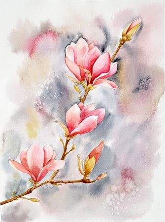 Светлана Юматова (Авторская графика - 
                  26 x 36 см) Ветка магнолии