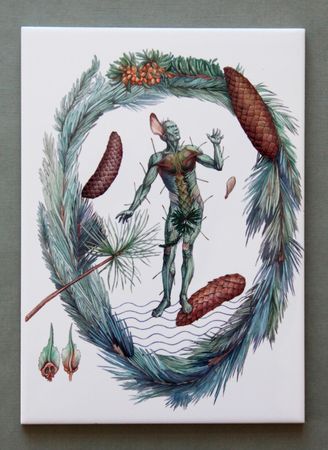 Людмила Баронина (Объект - 
                  20 x 30 см) Шишка