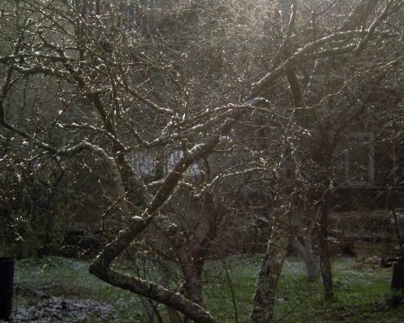 Степан Чубаев (Фотография - 
                  50 x 40 см) Хрустальный воздух