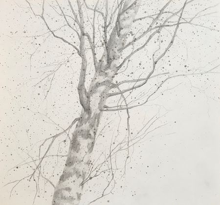 Екатерина Феоктистова (Авторская графика - 
                  30 x 30 см) Ветвления