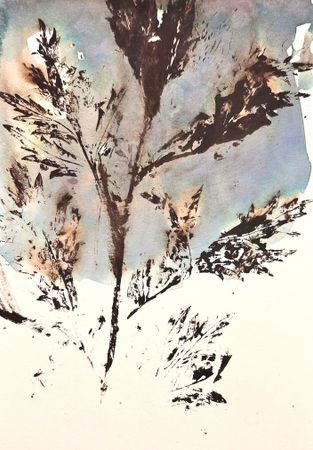 София Альбрехт (Авторская графика - 
                  14.6 x 20.9 см) ТРАВЫ №13. HERBS NO. 13