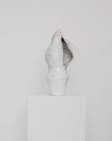 Анастасия Самсонова (Скульптура - 
                  21 x 41 см) Molluska 10'