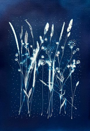 Ольга Ширяева (Авторская графика - 
                  27 x 39 см) Ночные колосья